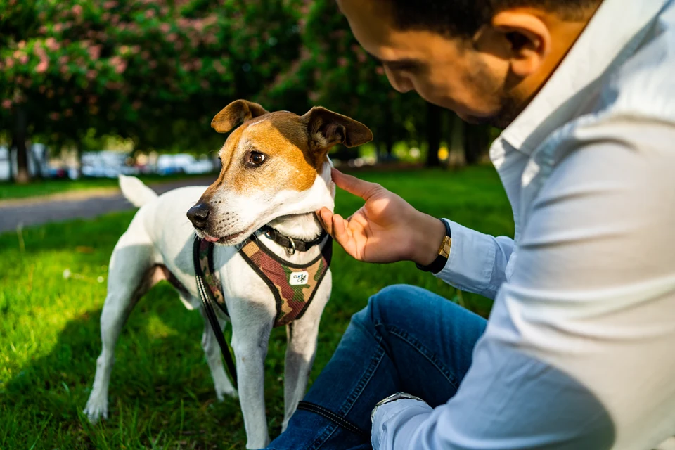 Dr. Farshad Goodarzi with his dog outdoors